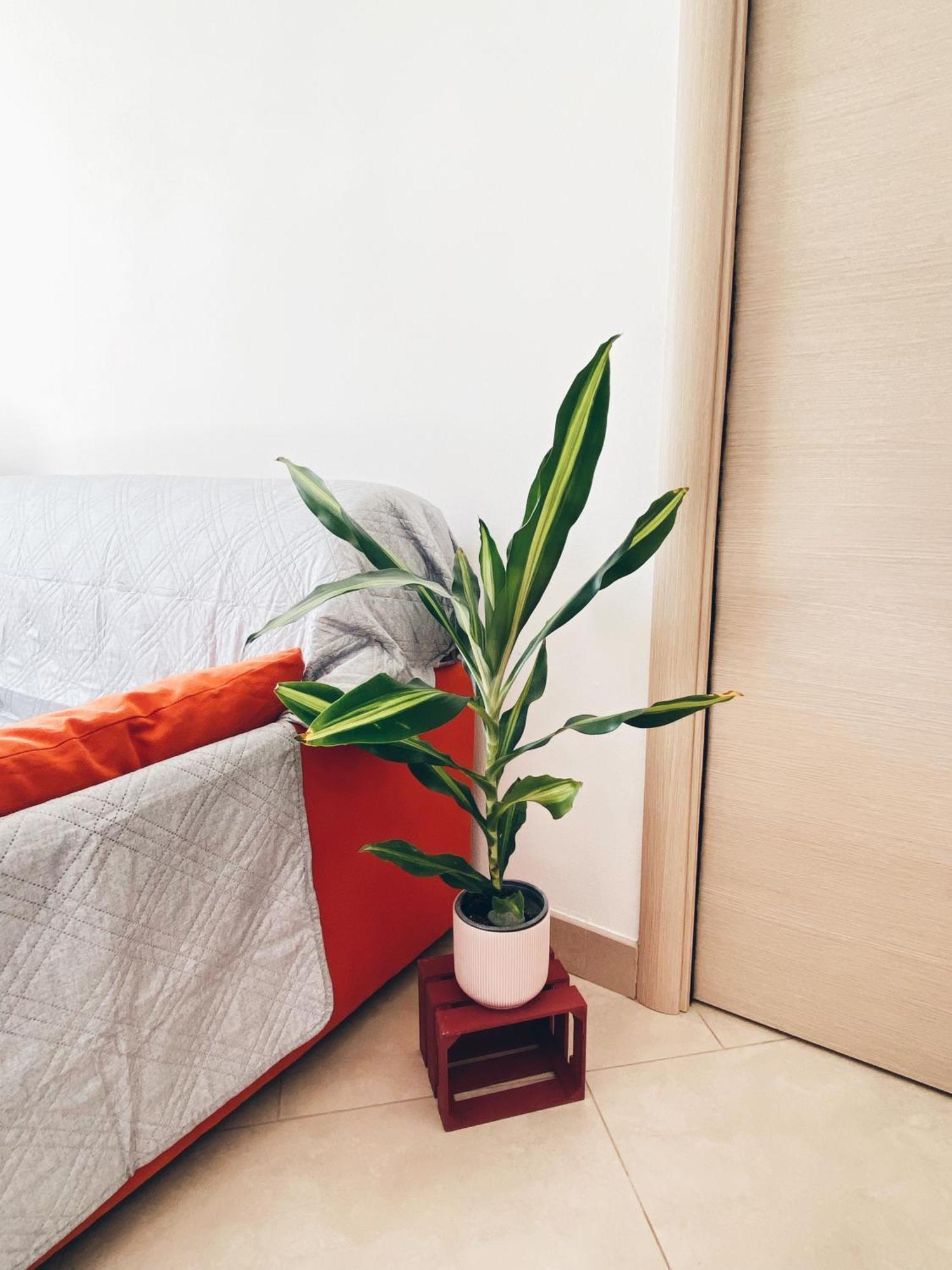 Apartment In Siena With Private Parking المظهر الخارجي الصورة